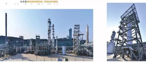 四川美豐一項關鍵化工工藝通過科技成果鑒定，引領行業綠色高效發展